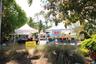 Farmer's Market