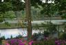 Lake w/ 1.7 mile walk/jog path