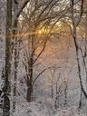 Winter View