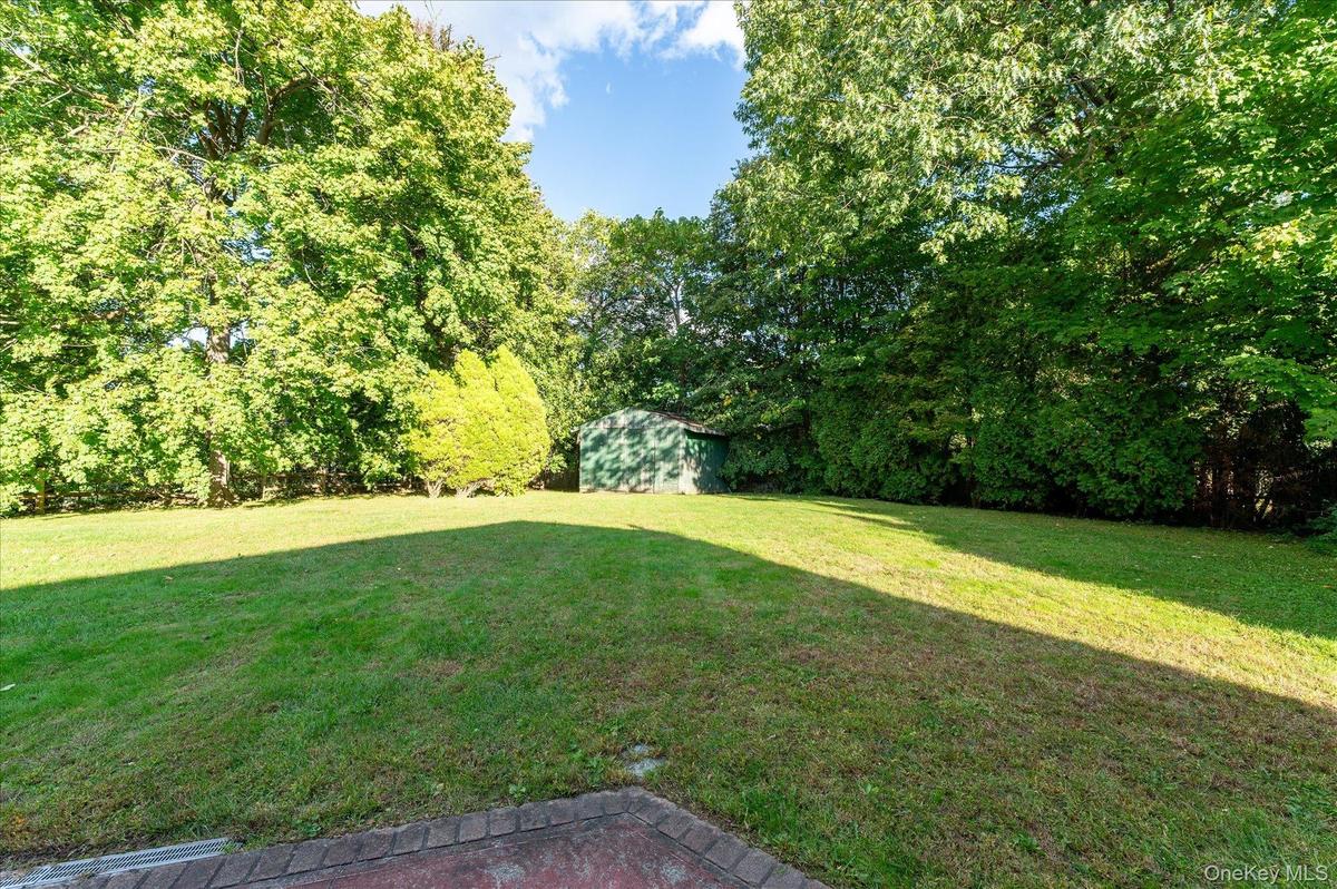 Back yard with large storage shed