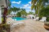 Outdoor space featuring a swimming pool, concrete patio, perimeter wall, and mature palm trees