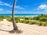 Sandy shoreline featuring native dune vegetation, tropical palm trees, and direct ocean access