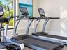 Fitness center featuring professional-grade treadmills and elliptical equipment with integrated touch-screen displays and large windows providing natu