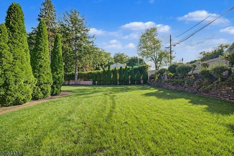 Rear Yard