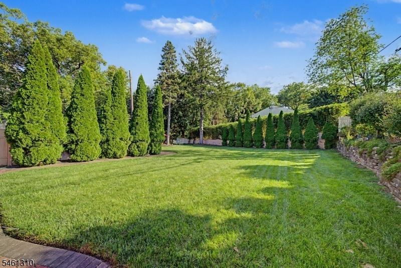 Rear Yard