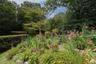 Cutting Flower Garden
