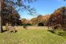 Autumn Leaves