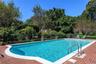 Large Outdoor Pool