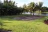 Expansive backyard featuring mature palm trees, direct waterfront access, and a cleared earthen pad
