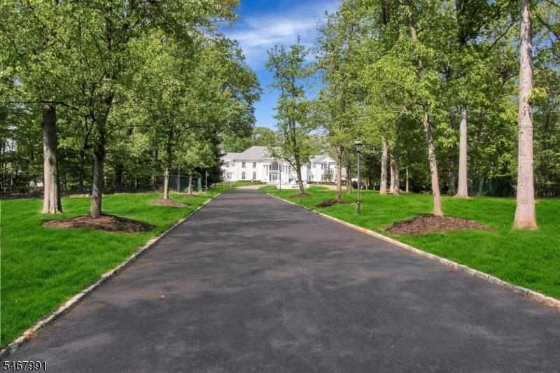 Gated Entrance and Drive