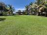 Expansive backyard featuring a lush grass lawn, mature palm trees, and a covered pavilion