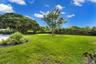 Expansive backyard featuring a manicured lawn, mature trees, and dense perimeter foliage