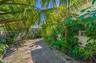 Exterior side yard featuring mature palm trees, dense tropical greenery, and a stone paver pathway
