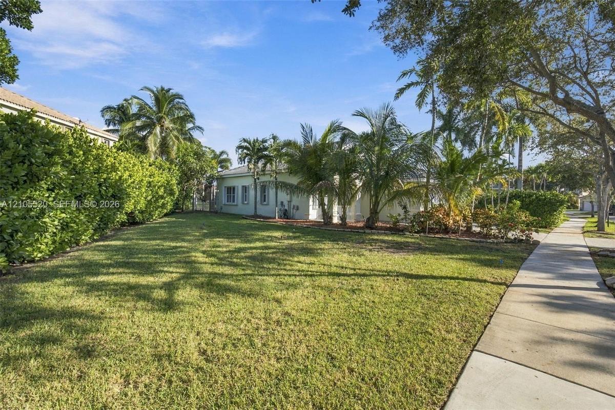 Expansive lawn area featuring mature palm trees, dense peripheral privacy hedging, and a paved concrete walkway
