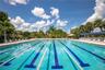 Multi-lane swimming pool with lane markers, surrounded by a paved deck, perimeter fencing, and mature palm trees