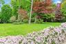 Sheep-hurdle fence with flowering vines
