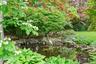 Pond with circulating waterfall feature