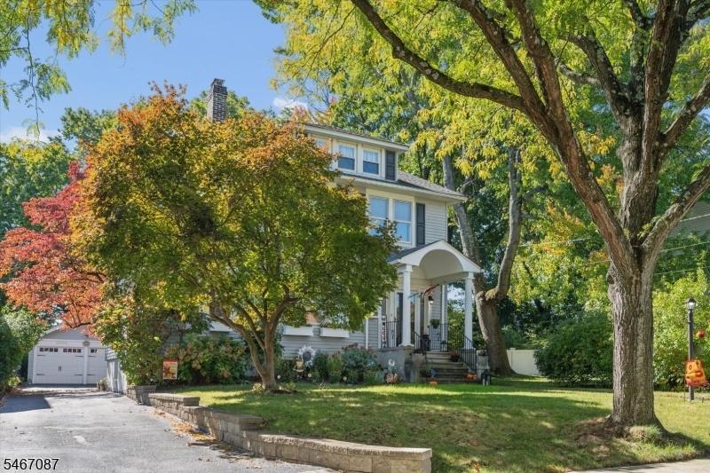 Lovely tree-lined street