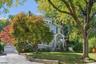 Lovely tree-lined street