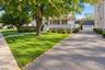 Driveway & Yard