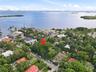Waterfront aerial perspective featuring mature tree canopy, coastal proximity, and panoramic urban skyline
