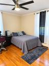 Room featuring wood-finish flooring, a stainless steel ceiling fan with integrated lighting, and crown molding