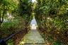 Steps to Southlawn
