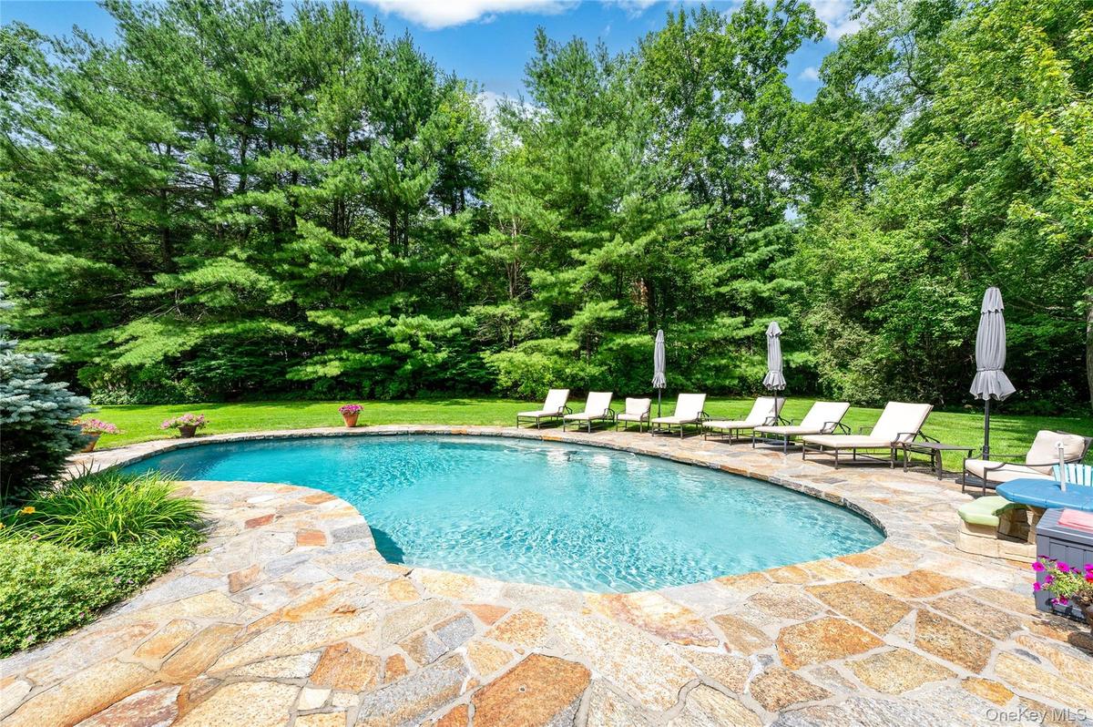 Fabulous pool and yard