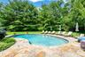 Fabulous pool and yard