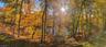 Fall Colors deck view 2025