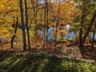 Fall colors deck view 2025