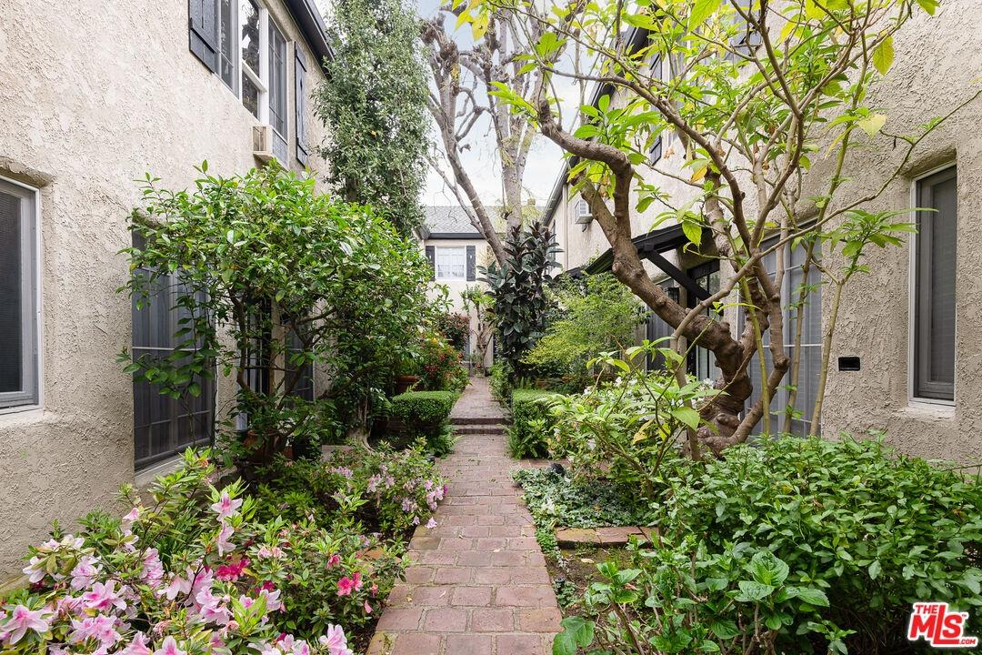 Garden Courtyard from Living R