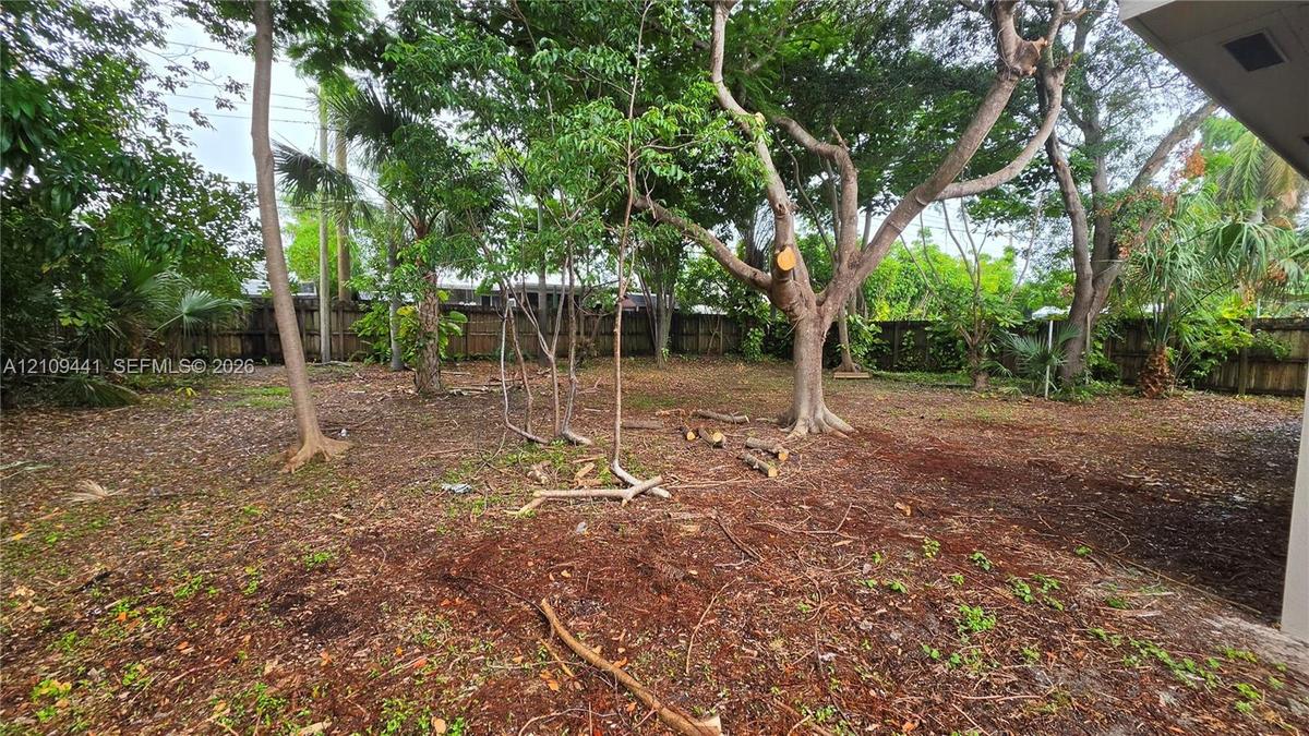 Spacious backyard featuring mature trees, a wood-slat privacy fence, and native ground cover