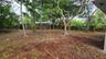 Spacious backyard featuring mature trees, a wood-slat privacy fence, and native ground cover