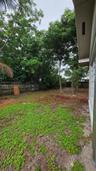 Rear yard featuring a wood fence, mature trees, and ground cover