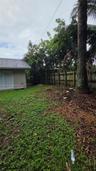 Backyard featuring a wood privacy fence, mature palm trees, and sliding glass door access