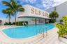 Outdoor swimming pool featuring a curved concrete deck, metallic handrails, built-in wall mural, and mature palm trees