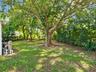 Backyard area featuring mature canopy trees, established hedge greenery, and a pool equipment filtration system