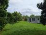 Expansive backyard featuring a lush grass lawn, mature foliage, perimeter privacy fencing, and exterior French doors