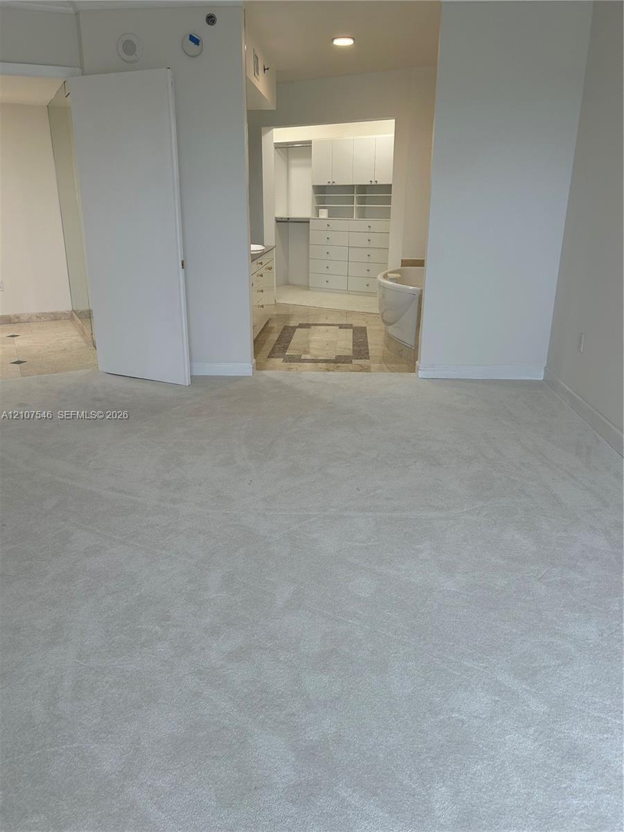 Carpeted room featuring a custom walk-in closet with built-in cabinetry, drawers, and shelving, stone flooring, and a soaking tub