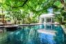 In-ground swimming pool featuring stone coping and a circular integrated spa, surrounded by mature trees, lush tropical landscaping, and expansive sto