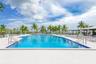 Large swimming pool with tiled perimeter, metal handrails, and a wide paved deck surrounded by mature palm trees