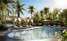 Swimming pool featuring a stone-tile deck, integrated covered cabanas, and surrounding mature palm trees