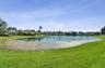 Waterfront pond featuring grassy banks, mature palm trees, and perimeter landscaping