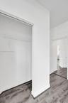 Reach-in closet featuring wire shelving and wood-finish flooring