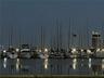 Downtown Marina