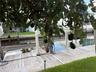 Just beyond the Avocado Tree is your Seawall and Dock