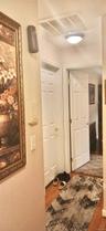 Six-panel interior doors with brass-tone hardware, wood-finish flooring, and flush-mount overhead lighting