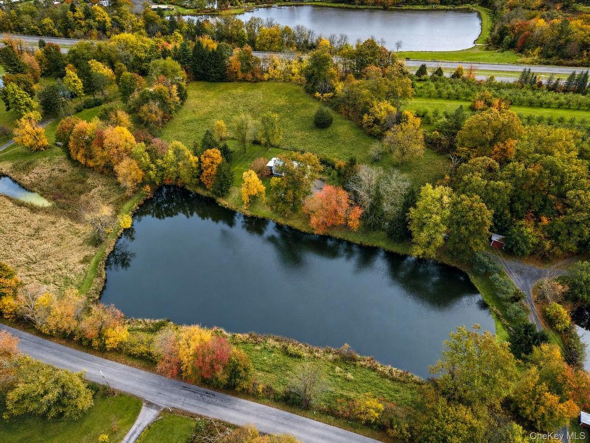 Expansive property grounds featuring a private pond, mature tree canopy, cleared open acreage, and several barns for horses