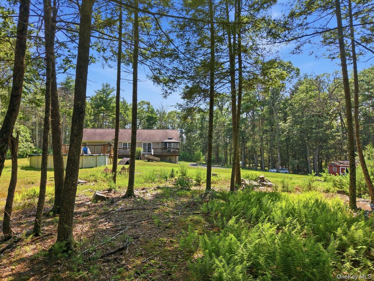 Area woods